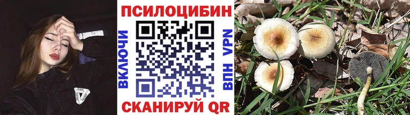 kraken   Динская  Псилоцибиновые грибы мухоморы 